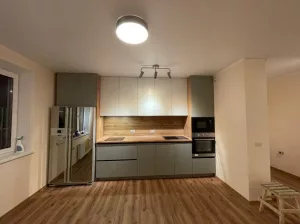 Кухня 073, прямая, зелёная